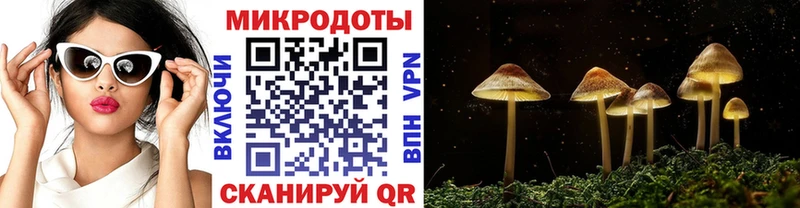 Псилоцибиновые грибы MAGIC MUSHROOMS  Россошь 
